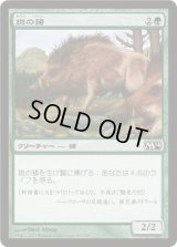 斑の猪/Brindle Boar (M14)《Foil》