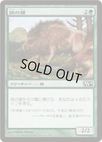斑の猪/Brindle Boar (M14)《Foil》