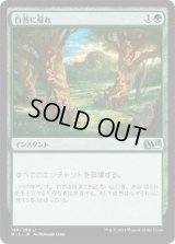 自然に帰れ/Back to Nature (M15)《Foil》