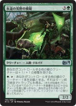 画像1: 永遠の荒野の模範/Paragon of Eternal Wilds (M15)《Foil》