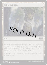 進化する未開地/Evolving Wilds (M15)《Foil》