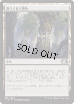 画像1: 進化する未開地/Evolving Wilds (M15)《Foil》