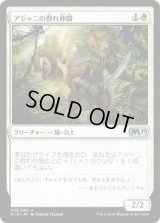アジャニの群れ仲間/Ajani's Pridemate (M19)