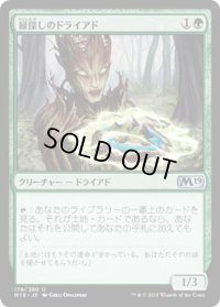 緑探しのドライアド/Dryad Greenseeker (M19)《Foil》