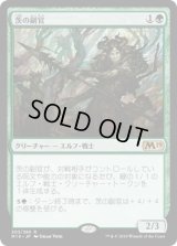 茨の副官/Thorn Lieutenant (M19)《Foil》