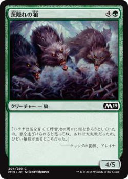 画像1: 茨隠れの狼/Thornhide Wolves (M19)《Foil》