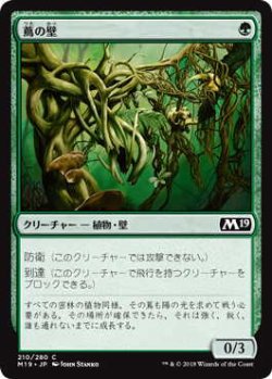 画像1: 蔦の壁/Wall of Vines (M19)《Foil》