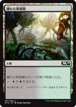 画像1: 穢れた果樹園/Foul Orchard (M19)《Foil》