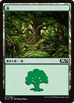 画像1: 森/Forest【Ver.1】(M19)《Foil》