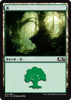 画像1: 森/Forest【Ver.3】(M19)《Foil》