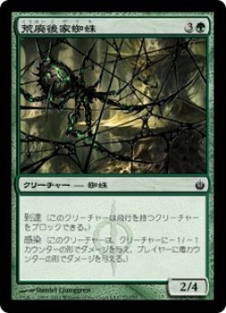 画像1: 荒廃後家蜘蛛/Blightwidow (MBS)《Foil》