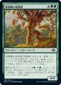 果樹園の徘徊者/Orchard Strider (MH2)《Foil》