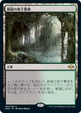 新緑の地下墓地/Verdant Catacombs (MH2)