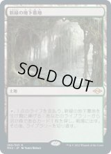 新緑の地下墓地/Verdant Catacombs (MH2)《Foil》
