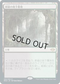 新緑の地下墓地/Verdant Catacombs (MH2)《Foil》