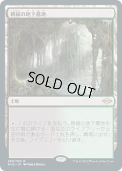 画像1: 新緑の地下墓地/Verdant Catacombs (MH2)《Foil》