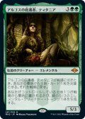 アルゴスの庇護者、ティタニア/Titania, Protector of Argoth (MH2)《Foil》