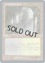 新緑の地下墓地/Verdant Catacombs (MH2)【旧枠加工版・MH2】