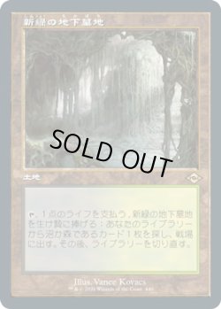 画像1: 新緑の地下墓地/Verdant Catacombs (MH2)【旧枠加工版・MH2】