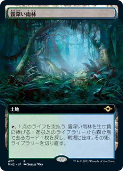 画像1: 霧深い雨林/Misty Rainforest (MH2)【拡張アート版】