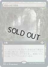 新緑の地下墓地/Verdant Catacombs (MH2)【拡張アート版】《Foil》