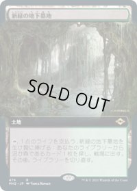 新緑の地下墓地/Verdant Catacombs (MH2)【拡張アート版】《Foil》