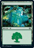 森/Forest 【Ver.2】 (MH2)《Foil》