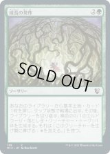 成長の発作/Growth Spasm (MIC)