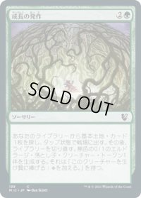成長の発作/Growth Spasm (MIC)