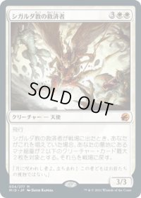 シガルダ教の救済者/Sigardian Savior (MID)《Foil》