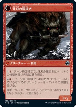 画像2: 牙刃の盗賊/Fangblade Brigand (MID)《Foil》