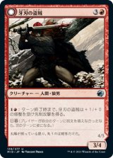牙刃の盗賊/Fangblade Brigand (MID)