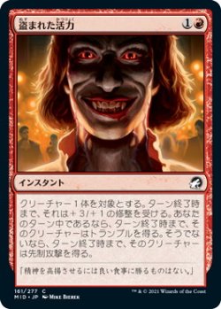 画像1: 盗まれた活力/Stolen Vitality (MID)