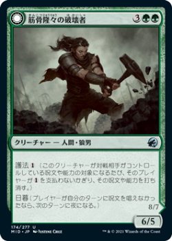 画像1: 筋骨隆々の破壊者/Burly Breaker (MID)《Foil》