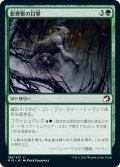 影野獣の目撃/Shadowbeast Sighting (MID)《Foil》