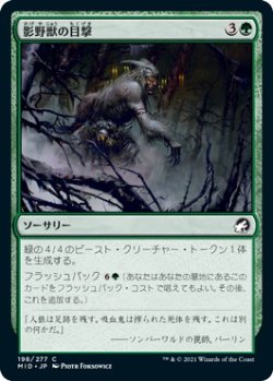 画像1: 影野獣の目撃/Shadowbeast Sighting (MID)