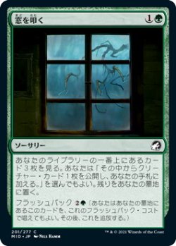 画像1: 窓を叩く/Tapping at the Window (MID)《Foil》