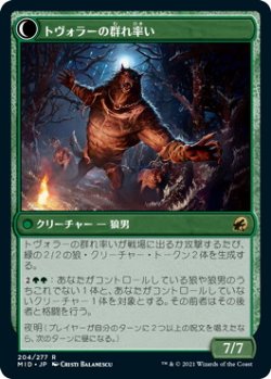画像2: トヴォラーの猟匠/Tovolar's Huntmaster (MID)