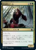 灰色熊のグール/Grizzly Ghoul (MID)