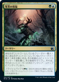 画像1: 冬茨の祝福/Winterthorn Blessing (MID)《Foil》