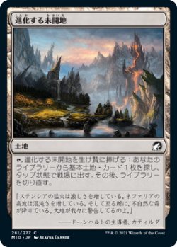 画像1: 進化する未開地/Evolving Wilds (MID)