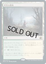 草茂る農地/Overgrown Farmland (MID)