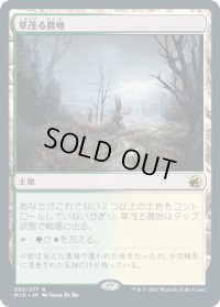 草茂る農地/Overgrown Farmland (MID)