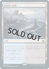 難破船の湿地/Shipwreck Marsh (MID)