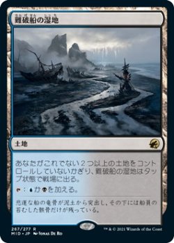 画像1: 難破船の湿地/Shipwreck Marsh (MID)《Foil》