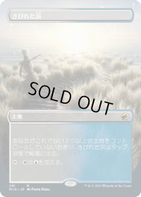 さびれた浜/Deserted Beach (MID)【拡張アート版】