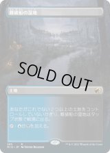 難破船の湿地/Shipwreck Marsh (MID)【拡張アート版】