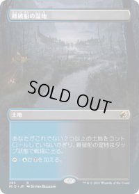 難破船の湿地/Shipwreck Marsh (MID)【拡張アート版】