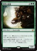 狼茨の精霊/Wolfbriar Elemental (MM2)《Foil》