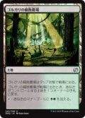 ゴルガリの腐敗農場/Golgari Rot Farm (MM2)《Foil》